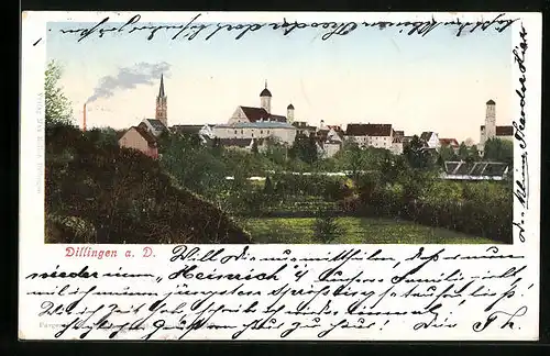 AK Dillingen a. D., Panorama