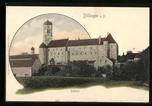 AK Dillingen a. D., Schloss