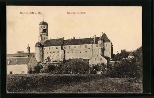 AK Dillingen a. D., Königliches Schloss