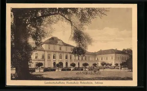 AK Hohenheim / Württ., Landwirtschaftliche Hochschule Hohenheim, Schloss