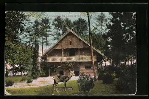 AK Mainz, Rehpark in der Anlage (Stadtpark)