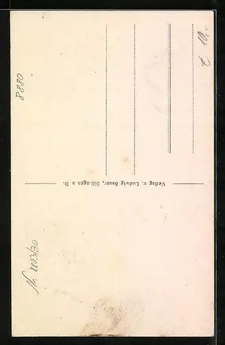 AK Dillingen a. D., Ortsansicht aus der Vogelschau