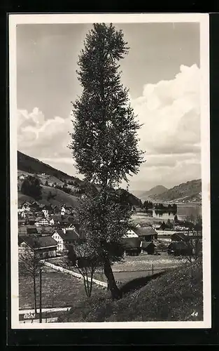AK Bühl a. Alpsee, Ortsansicht aus der Vogelschau