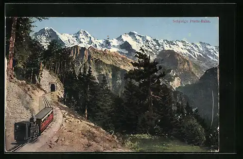 AK Schynige Platte, Bergbahn und Gipfelpanorama