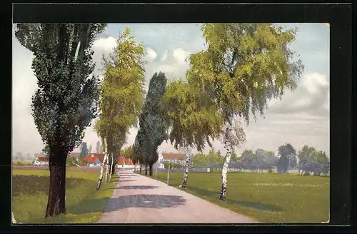 Künstler-AK Photochromie Nr. 1305: Birken und Pappeln an der Allee