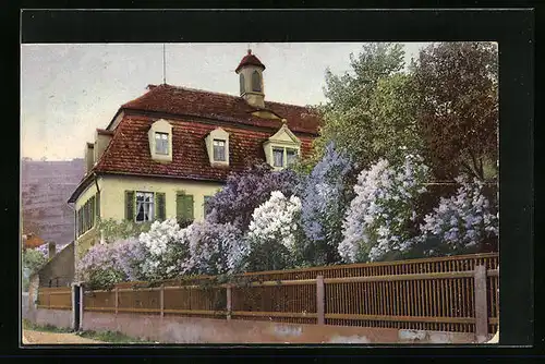 Künstler-AK Photochromie Nr. 1196: Blühender Flieder im Garten