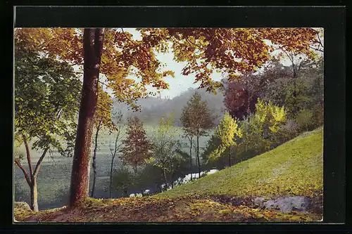 Künstler-AK Photochromie Nr. 4939: Herbstlandschaft