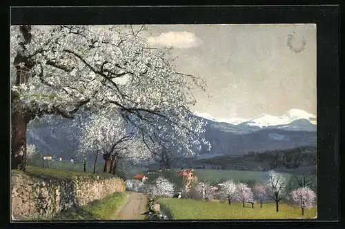 Künstler-AK Photochromie Nr. 2714: Obstblüte in Tirol