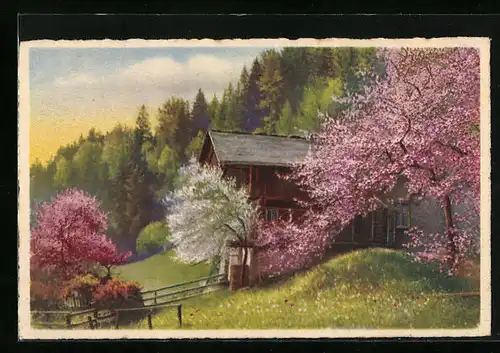 Künstler-AK Photochromie Nr. 3083: Blütenpracht der Obstbäume im Frühling