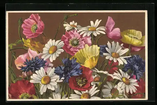 Künstler-AK Photochromie Nr. 1987: Prachtvolle Wiesenblumen