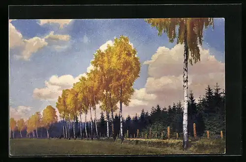 Künstler-AK Photochromie Nr. 4318: Dresdner Heide im Herbst