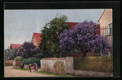 Künstler-AK Photochromie Nr. 4107: Blühender Fliederbaum im Vorgarten