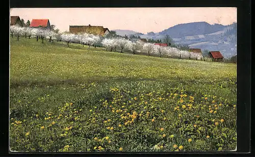 Künstler-AK Photochromie Nr. 3729: Blühende Obstbäume auf der Wiese