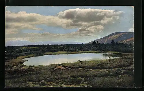 Künstler-AK Photochromie Nr. 2682: Landschaft im Riesengebirge