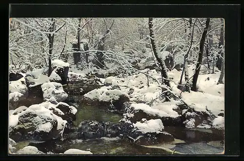 Künstler-AK Photochromie Nr. 2391: Bachlauf im Winter