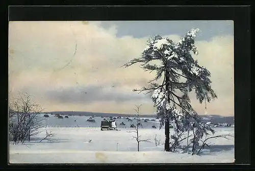 Künstler-AK Photochromie Nr. 2396: Winterlandschaft