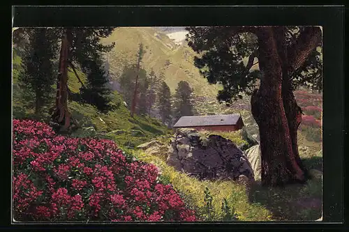 Künstler-AK Photochromie Nr. 1186: Sommer im Gebirge, Rhododendron ferrugineum