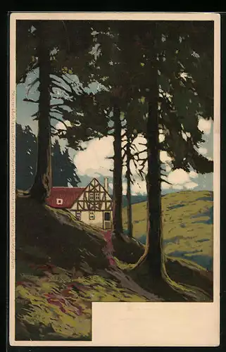 Künstler-AK Photochromie Nr. 95: Landschaft mit Fachwerkhaus