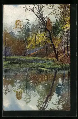 Künstler-AK Photochromie Nr. 1351: Herbstliche Uferpartie