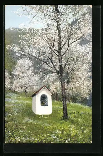Künstler-AK Photochromie Nr. 1594: Frühlingswiese mit blühenden Obstbäumen