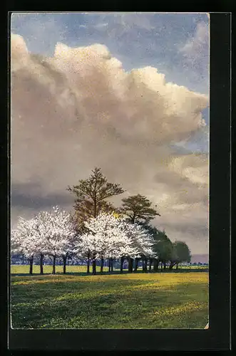 Künstler-AK Photochromie Nr. 4099: Frühlingslandschaft mit blühenden Bäumen