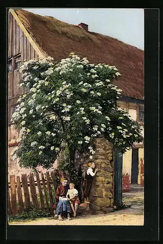 Künstler-AK Photochromie Nr. 3978: Kinder sitzen vor dem Haus