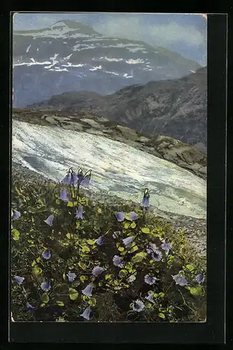 Künstler-AK Photochromie Nr. 524: Soldanella alpina