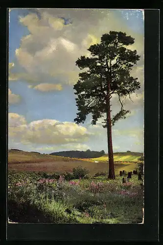 Künstler-AK Photochromie Nr. 2240: Sommerliche Wiesen und Felder