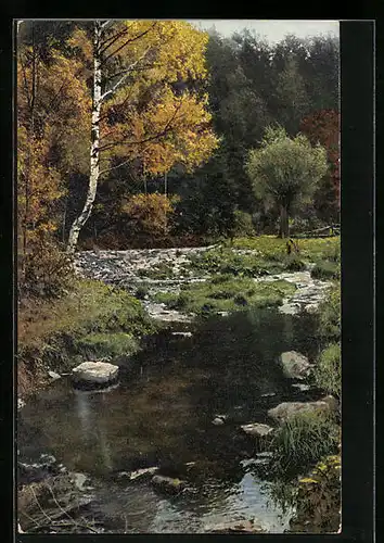 Künstler-AK Photochromie Nr. 2302: Flusspartie im Herbst