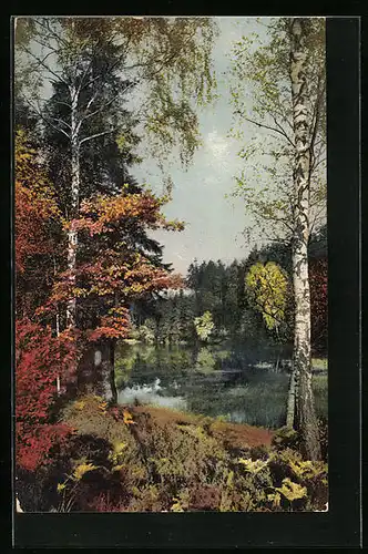 Künstler-AK Photochromie Nr. 2280: Seepartie im Herbst