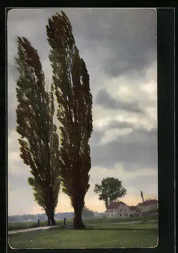 Künstler-AK Photochromie Nr. 1296: Weiden im Wind