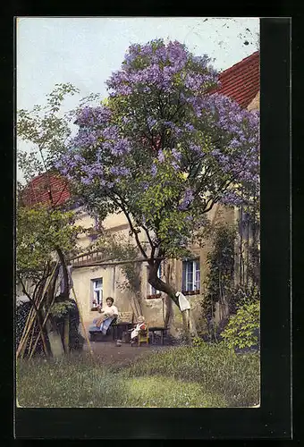 Künstler-AK Photochromie Nr. 4907: Blühender Flieder hinter dem Haus