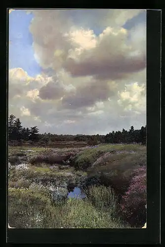Künstler-AK Photochromie Nr. 2014: Dunkle Wolken über der Heidelandschaft