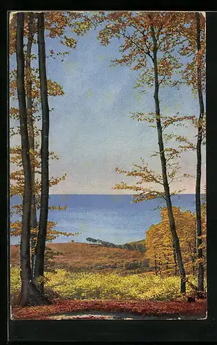 Künstler-AK Photochromie Nr. 2859: Herbstlandschaft am Meer