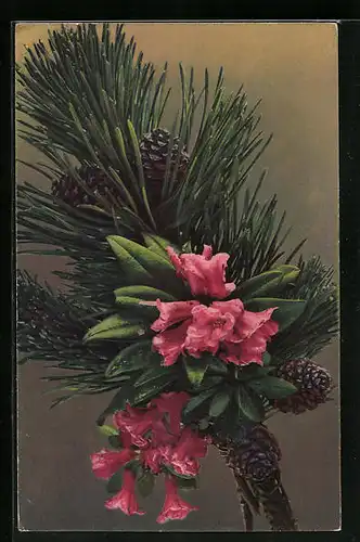 Künstler-AK Photochromie Nr. 1370: Rosa Blüten und Tannenzweig