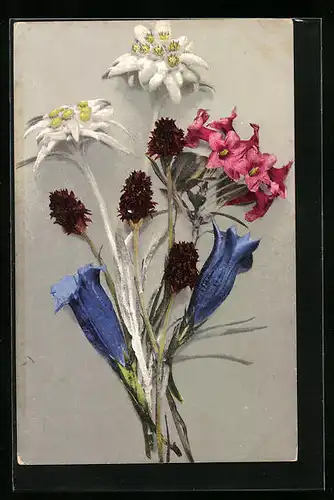Künstler-AK Photochromie Nr. 475: Wiesenblumen und Edelweiss