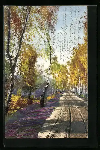 Künstler-AK Photochromie Nr. 1357: Herbstliche Birken