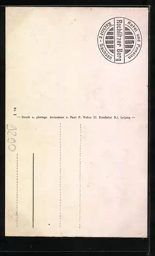 AK Rochlitz i. Sa., Turm auf dem Rochlitzer Berge, Friedrich August-Denkmal