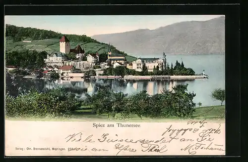 AK Spiez am Thunersee, Totalansicht