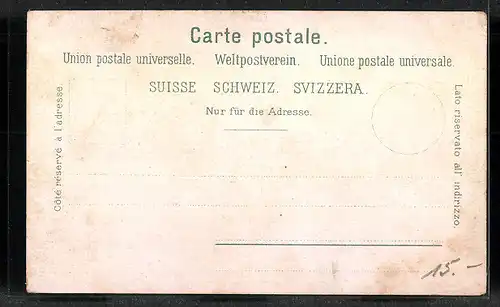 AK Flüelen, Partie am Seeufer