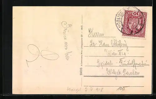 AK Hinterbrühl bei Mödling, Totale vom Berg aus gesehen