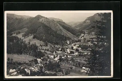 AK Hohenberg, Ortsansicht mit Bergen von oben