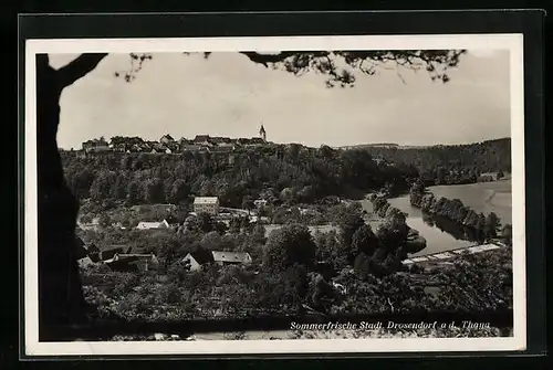 AK Stadt Drusendorf /Thaya, Ortsansicht aus der Vogelschau mit Thaya