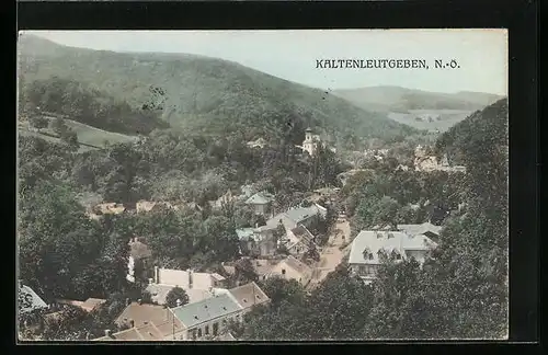 AK Kaltenleutgeben, Teilansicht mit Strasse aus der Vogelschau