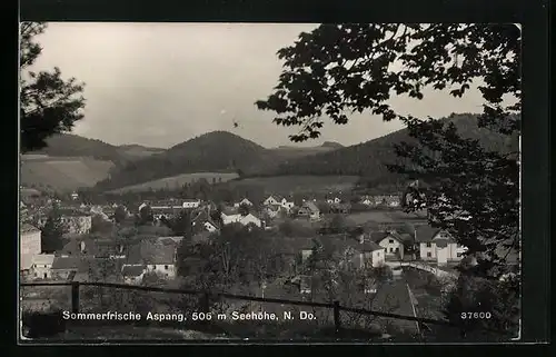 AK Aspang, Teilansicht mit Bergen