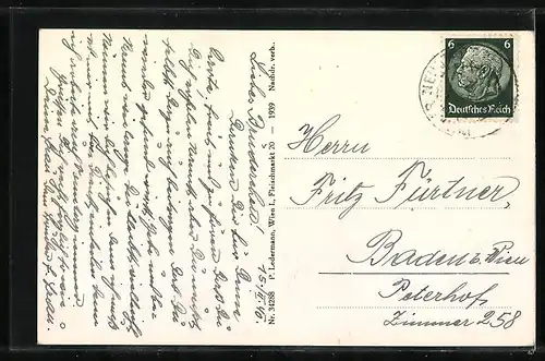 AK Wr. Neustadt, Teilansicht gegen Hohe Wand