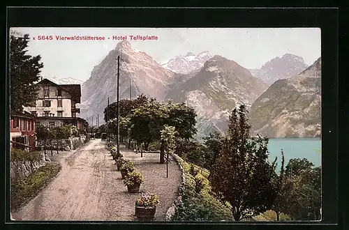 AK Sisikon, Hotel Tellsplatte am Vierwaldstättersee