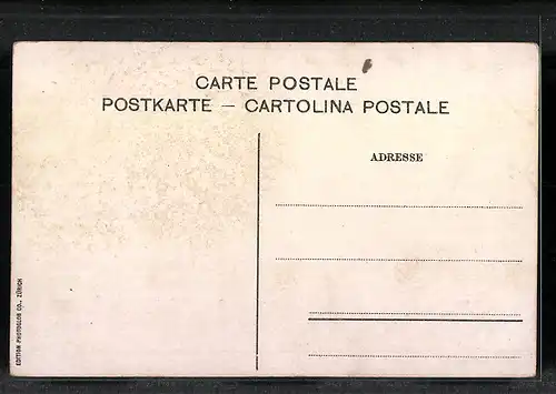 AK Appenzell, Panorama mit Säntis