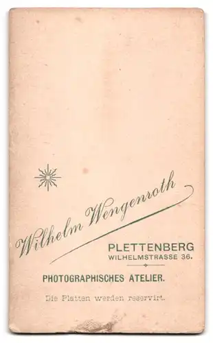 Fotografie Wilhelm Wengenroth, Plettenberg, Wilhelmstrasse 36, Bürgerliche Dame in kariertem Kleid