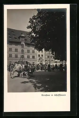 AK Schaffhausen, Kornhaus am Herrenacker